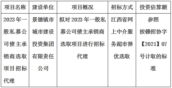 2023年一般私募公司債主承銷商選取項(xiàng)目招標(biāo)代理計劃公告