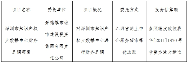 深圳市知識產(chǎn)權大數(shù)據(jù)中心財務盡調項目計劃公告