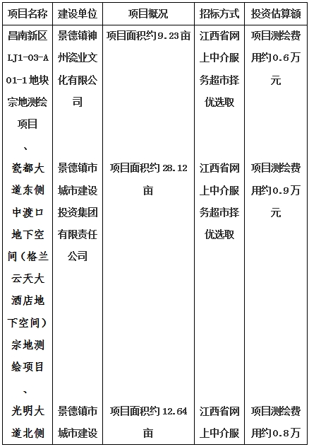 景德鎮(zhèn)市昌南新區(qū)LJ1-03-A01-1地塊、瓷都大道東側(cè)中渡口地下空間（格蘭云天大酒店地下空間）、光明大道北側(cè)利民路西側(cè)地下空間（青少年宮地下空間）、規(guī)劃二路北側(cè)地下空間地塊二（加速基地地下空間）、規(guī)劃二路北側(cè)地下空間地塊一（加速基地地下空間）、景德大道南側(cè)天寶橋西側(cè)地塊、景興大道東側(cè)如意路北側(cè)地下空間(社會(huì)公共服務(wù)