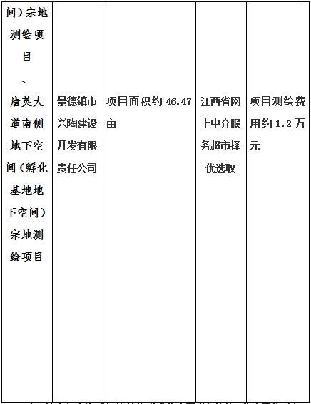 景德鎮(zhèn)市昌南新區(qū)LJ1-03-A01-1地塊、瓷都大道東側(cè)中渡口地下空間（格蘭云天大酒店地下空間）、光明大道北側(cè)利民路西側(cè)地下空間（青少年宮地下空間）、規(guī)劃二路北側(cè)地下空間地塊二（加速基地地下空間）、規(guī)劃二路北側(cè)地下空間地塊一（加速基地地下空間）、景德大道南側(cè)天寶橋西側(cè)地塊、景興大道東側(cè)如意路北側(cè)地下空間(社會(huì)公共服務(wù)