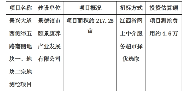 景興大道西側(cè)緯五路南側(cè)地塊一、地塊二宗地
