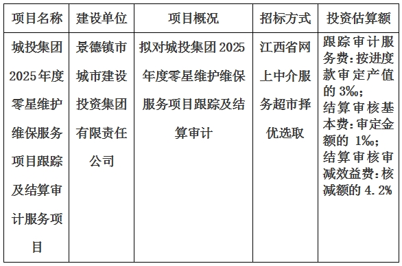 城投集團(tuán)2025年度零星維護(hù)維保服務(wù)項目跟蹤及結(jié)算審計服務(wù)項目計劃公告