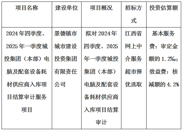 2024年四季度、2025年一季度城投集團（本部）電腦及配套設(shè)備耗材供應(yīng)商入庫項目結(jié)算審計服務(wù)項目計劃公告