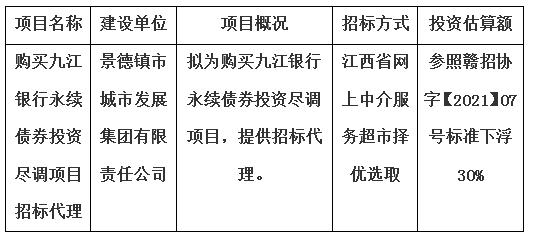 購買九江銀行永續(xù)債券投資盡調(diào)項(xiàng)目招標(biāo)代理計(jì)劃公告